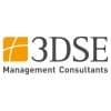 3DSE Management Consultants logo