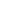 Alpine Eagle logo