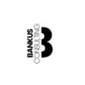 Bankus Consulting GmbH logo
