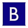 Brunswick Investor Brand logo