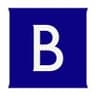 Brunswick Investor Brand logo