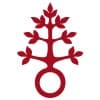 Dominikus-Ringeisen-Werk logo