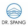 Dr. Spang Ingenieurgesellschaft logo