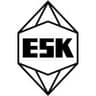 ESK-SIC GmbH logo