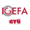 IGEFA Engenieering Service Cmp. logo