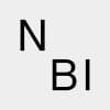 NBI Design Studio – Neusitzer Brand Identity logo