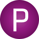 Patricio Travel logo
