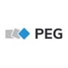 PEG - Plastics Engineering Group logo