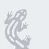Salamander myWindow logo