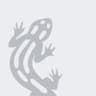 Salamander myWindow logo