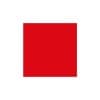 VOK DAMS worldwide logo