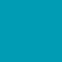 WERNER companies logo