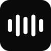 Acoustic Index logo