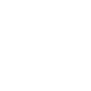 Alpine Eagle logo