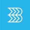 Brockmann & Büchner PartG Management Consultancy logo