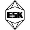 ESK-SIC GmbH logo