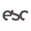 evolving systems consulting GmbH logo