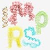 International Max Planck Research School on Cellular Biophysics (IMPRS-CBP) logo