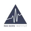 MAX BORN INSTITUTE for Nonlinear Optics and Short Pulse Spectroscopy logo
