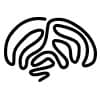 Noos AI logo